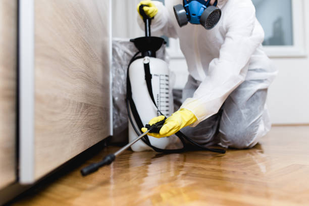 Best Pest Inspection Near Me  in Mount Zion, GA