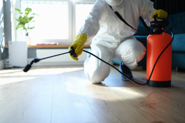Best Best Pest Control Companies  in Mount Zion, GA