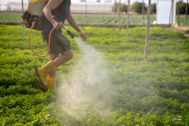 Insect Control in Mount Zion, GA