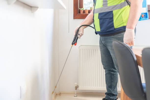 Best Affordable Pest Control Services  in Mount Zion, GA