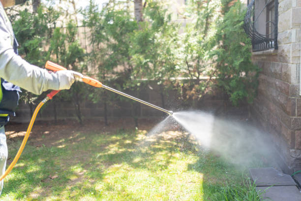 Reliable Mount Zion, GA Pest Control Solutions